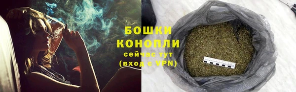 PSILOCYBIN Беломорск
