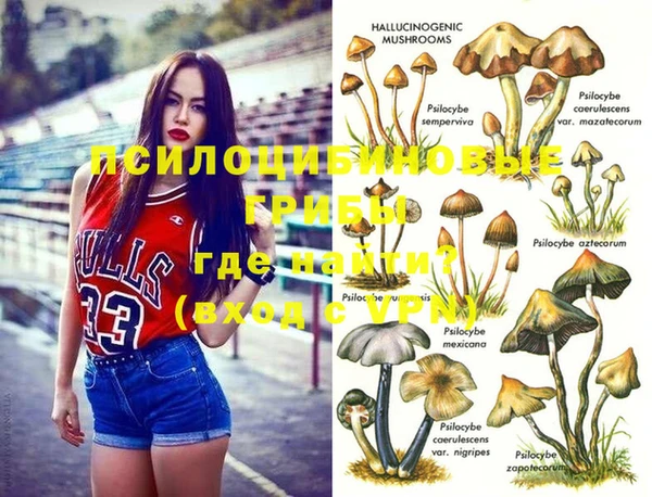 наркотики Белокуриха
