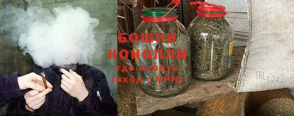 PSILOCYBIN Беломорск
