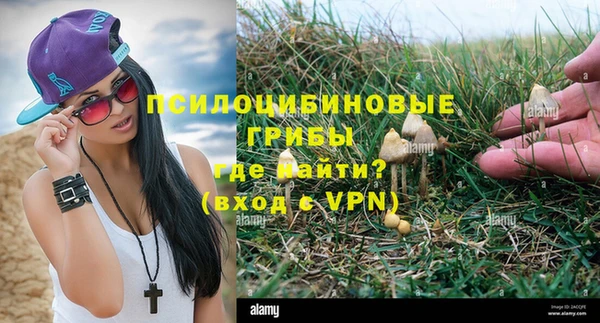 PSILOCYBIN Беломорск