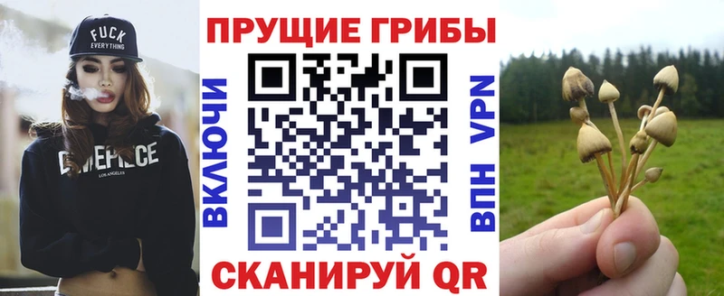 Купить  Печора  Галлюциногенные грибы GOLDEN TEACHER 